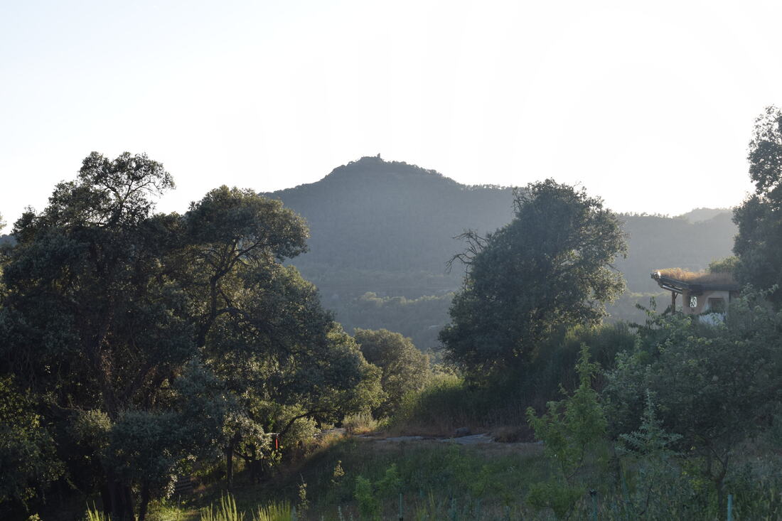 Permakulttuurin graafinen fasilitointi