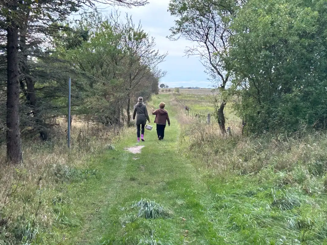 Health, Happiness and green living – Terveys, onnellisuus ja vihreä elämä -kurssi Tanskassa 4.9.- 23.11.2023